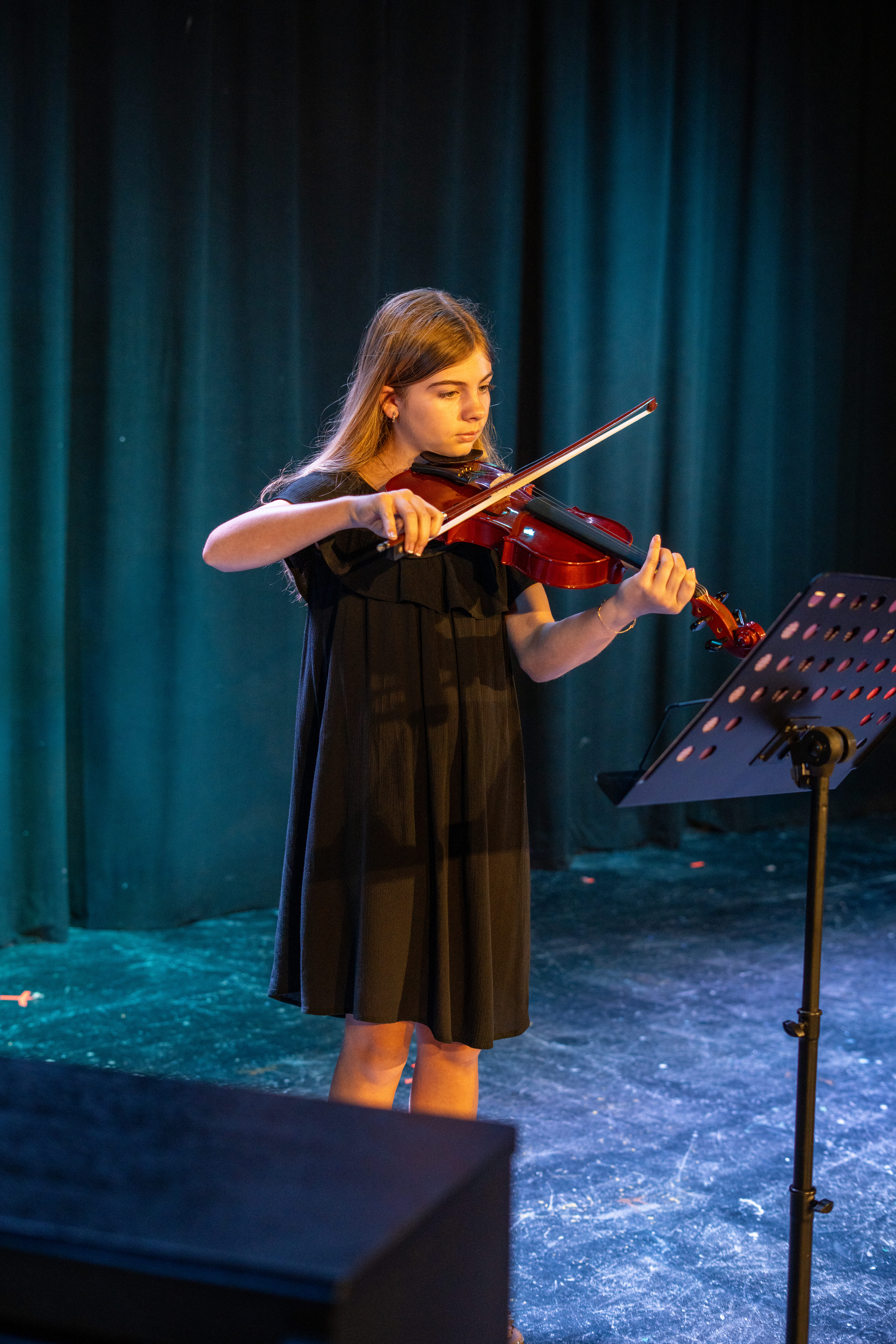 Violin