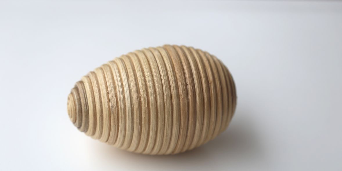 Let’s Make an Egg Shaker!