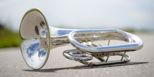 baritone