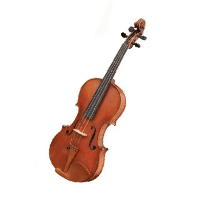 Viola