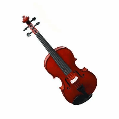 Violin