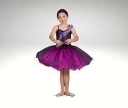 Ages 6-12