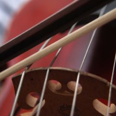 String Teachers