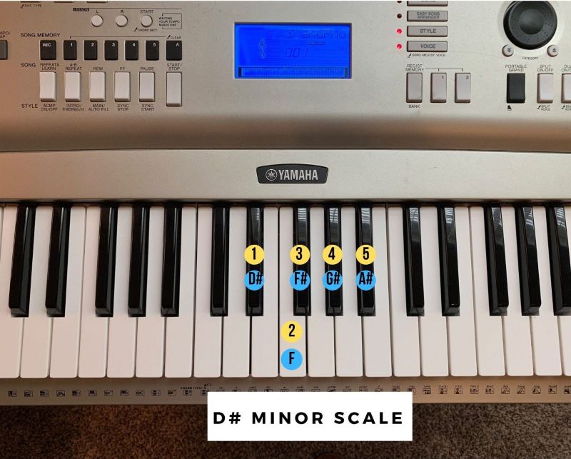 D# Minor Scale Piano Diagram D Minor Scale Piano Diagram