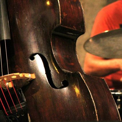 cello lessons in elgin il