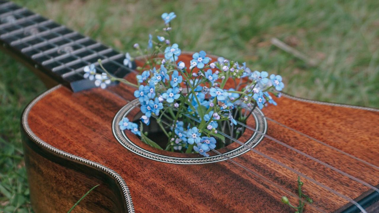 Best Guitar Lessons for Beginners