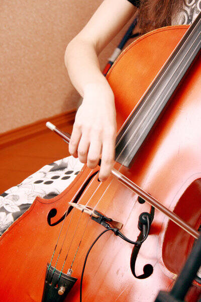 cello lessons in palatine IL