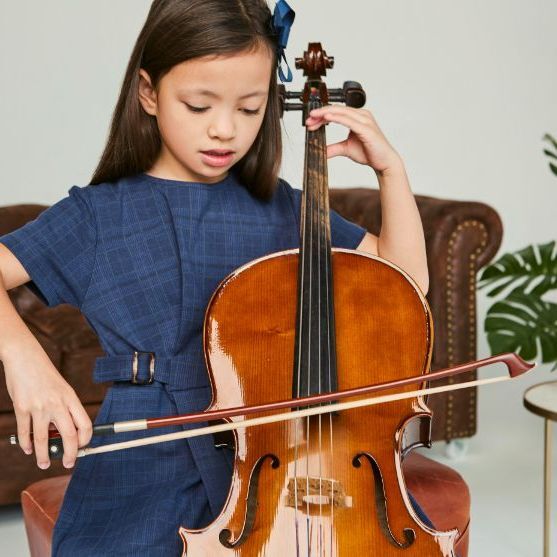 cello lessons in Palatine IL