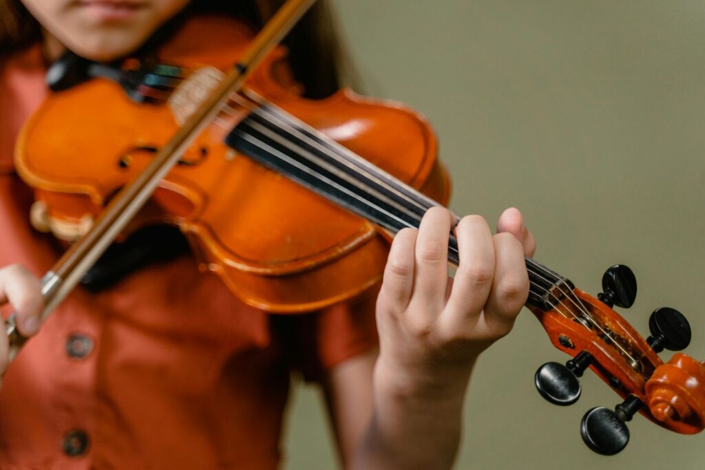 close up violin